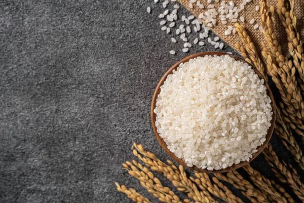 Rice